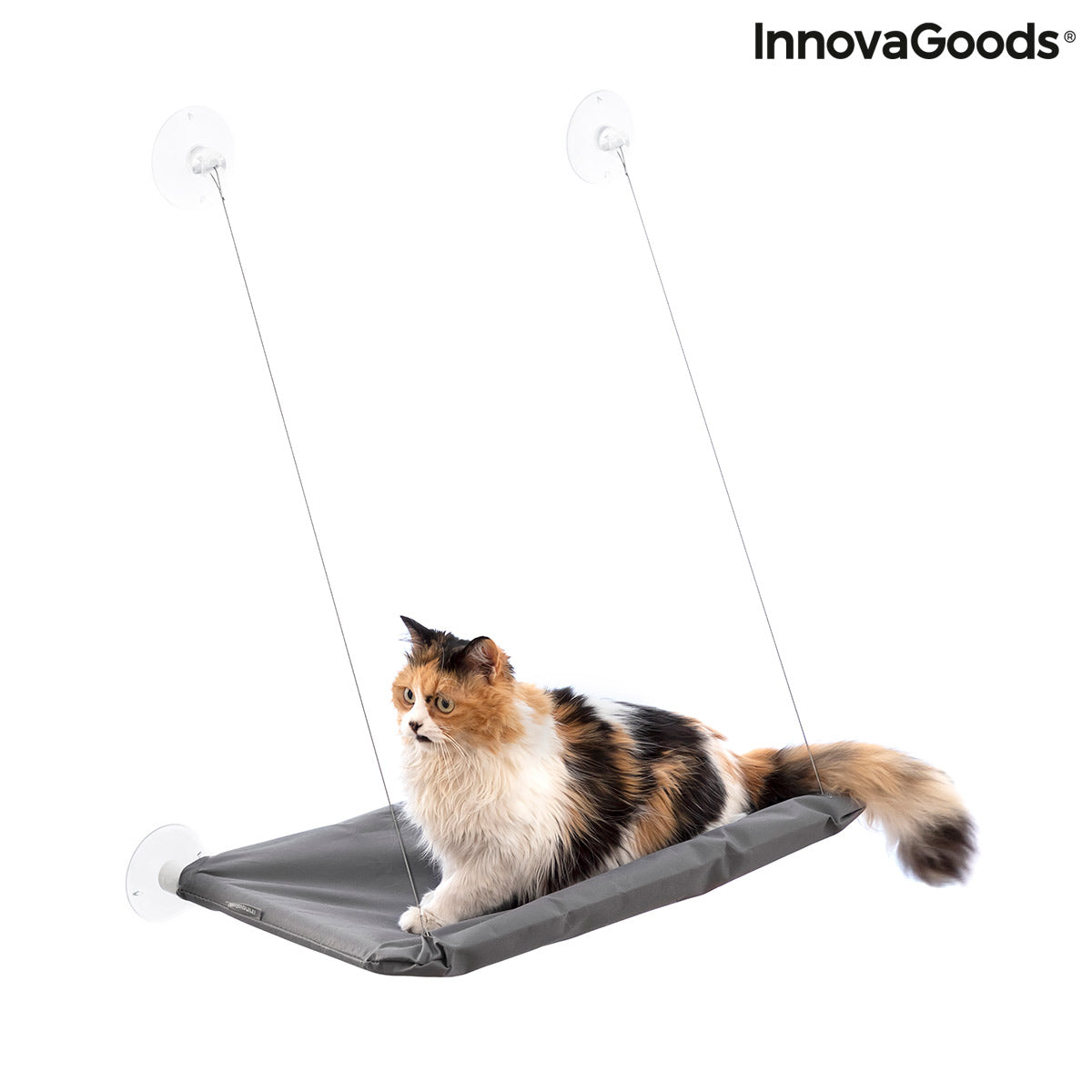 Hanging Cat Hammock Catlax InnovaGoods