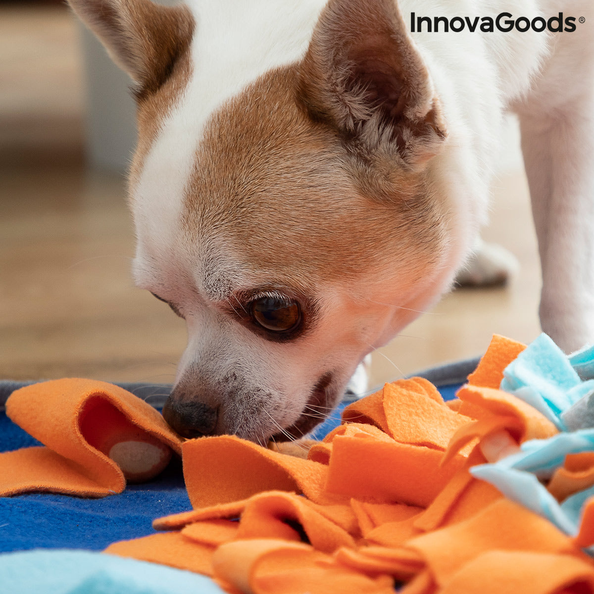 Sniffing Mat for Pets Fooland InnovaGoods