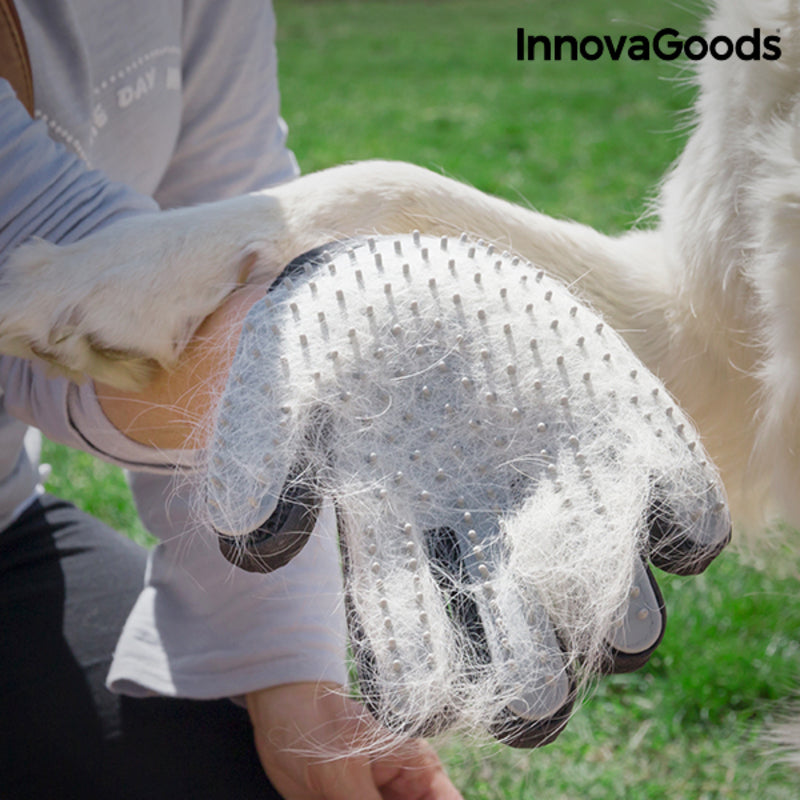 Pet Brush & Massage Glove Relpet InnovaGoods