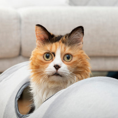 Collapsible Pet Tunnel Funnyl InnovaGoods