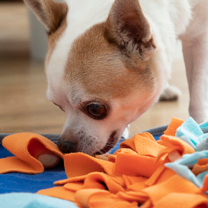 Sniffing Mat for Pets Fooland InnovaGoods