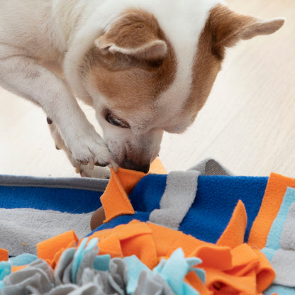 Sniffing Mat for Pets Fooland InnovaGoods